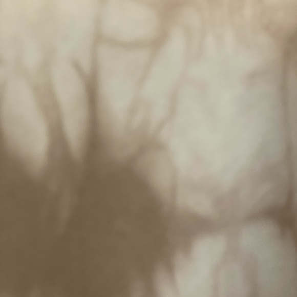 Aritzia Boyfriend Hoodie - Picture 3 of 4